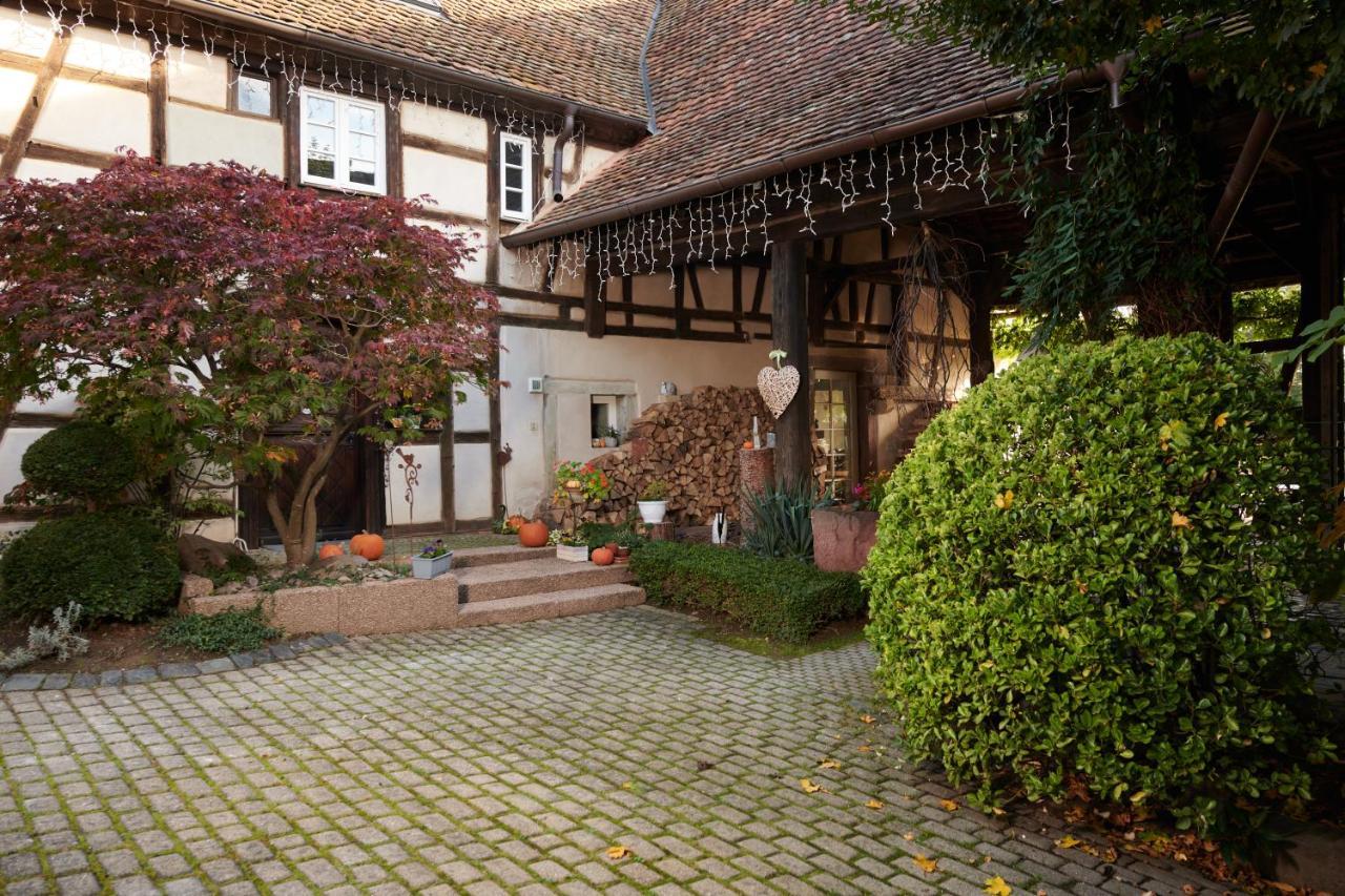 Willgottheim La Cour De Lise Maison D'Hotes Et Spa מראה חיצוני תמונה